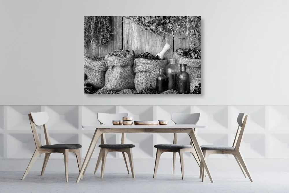 Tablou plante medicinale în design alb-negru