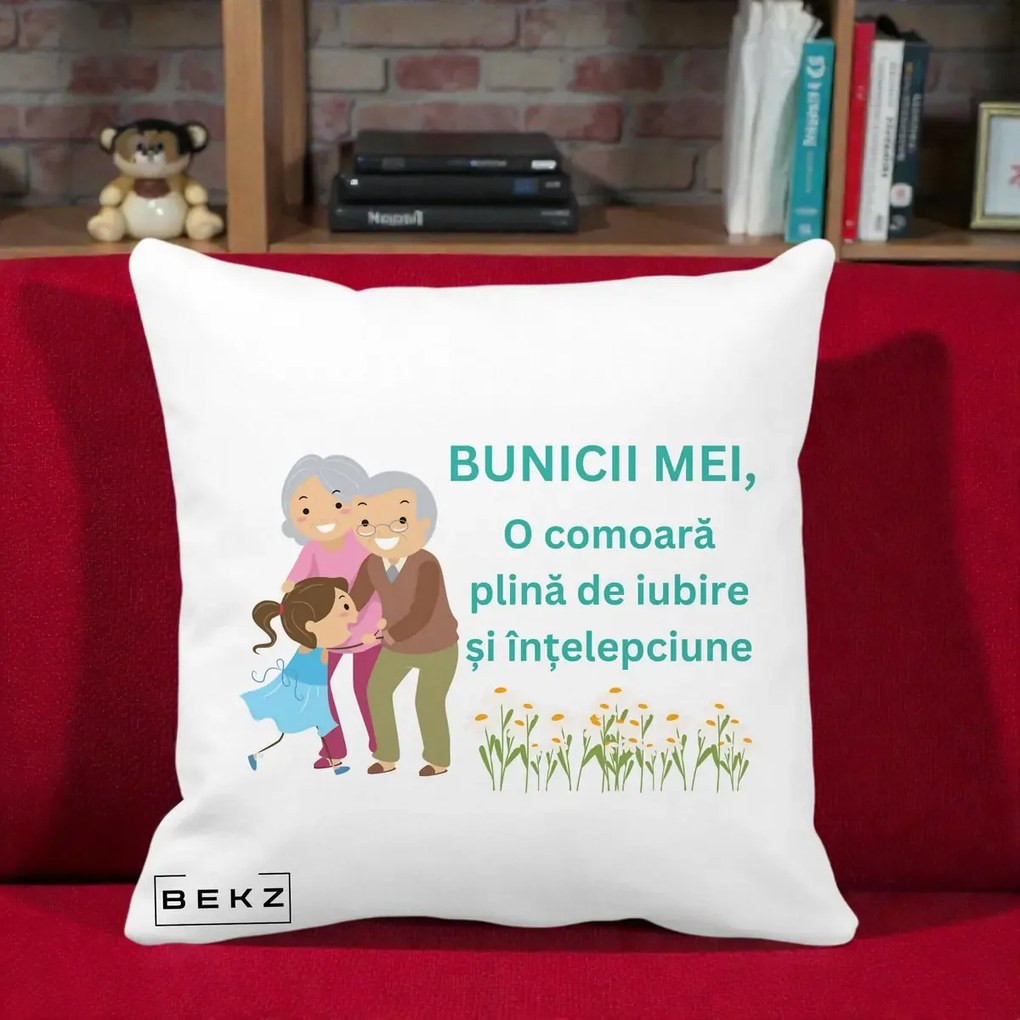 Cadou pentru Bunici - Perna Personalizata Bunicii Mei Comoara Iubire Intelepciune Nepoata, 40x40 cm, Alba Mata, Husa Detasabila, Perna Inclusa, BEKZ®