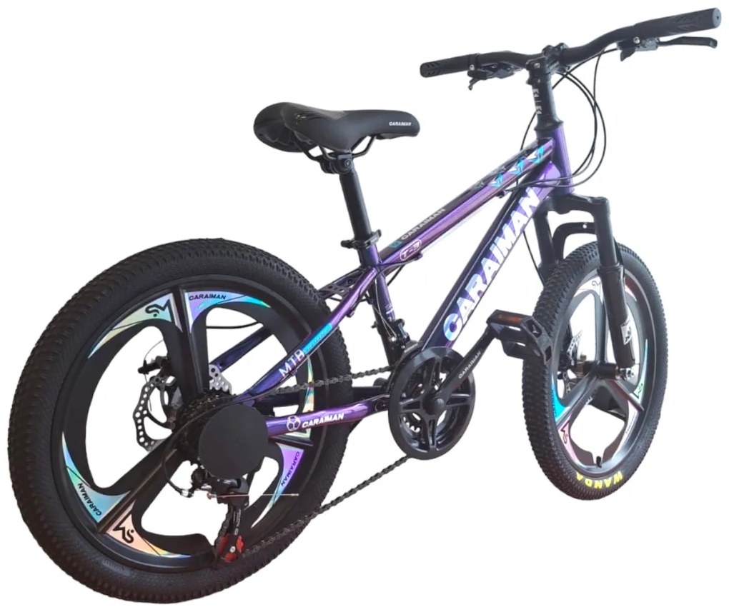 Bicicleta Caraiman, roti 20 inch, cadru otel, frane pe disc, cameleon, BC83