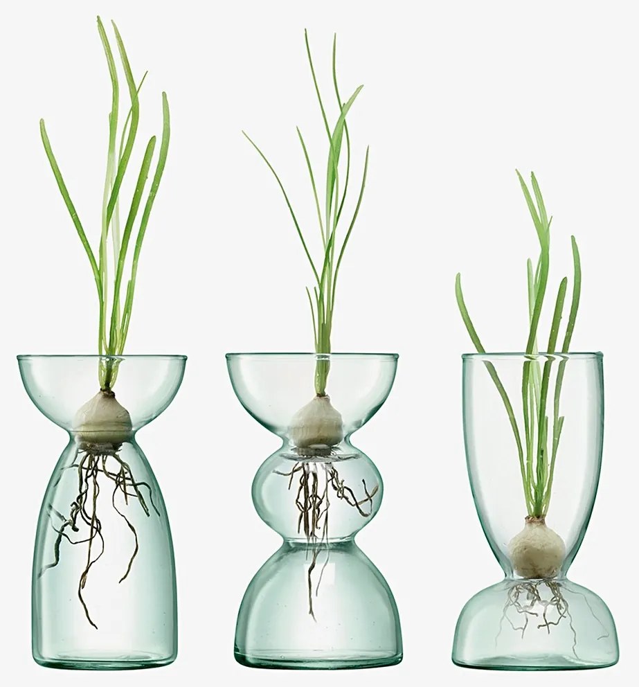 Set de vaze, Canopy, înălţime 13 cm, transparente - LSA International