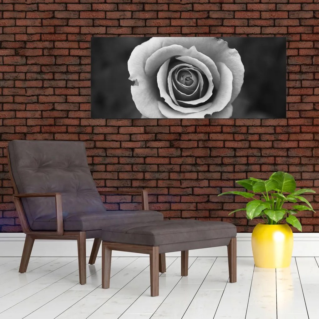 Tablou - Trandafir (120x50 cm)