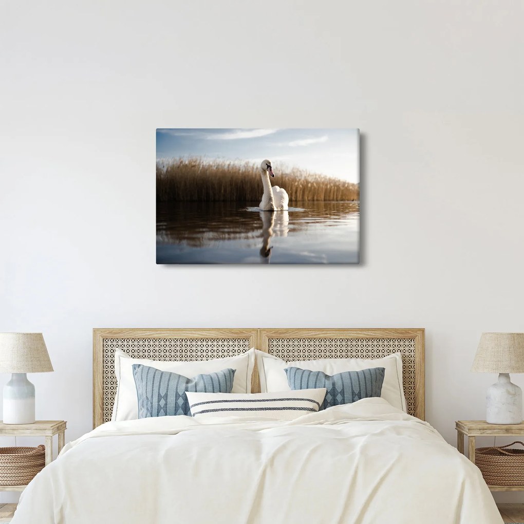 Tablou cu lebăda (90x60 cm)