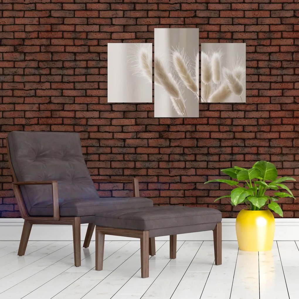 Tablou - Cozi de iepure (90x60 cm)