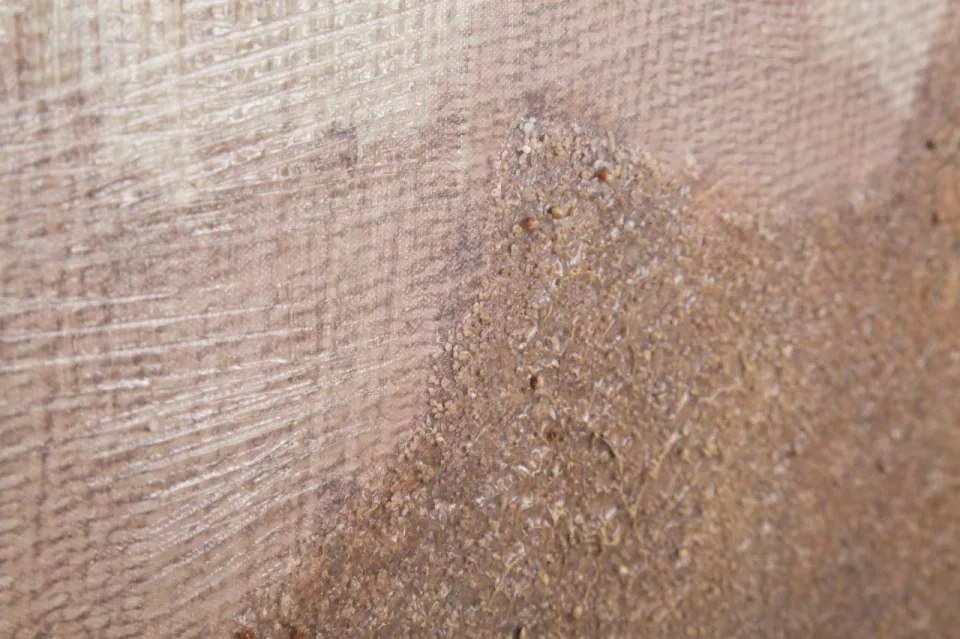 Tablou decorativ multicolor din lemn de Pin si panza, 80x3,7x100 cm, Browny Mauro Ferretti