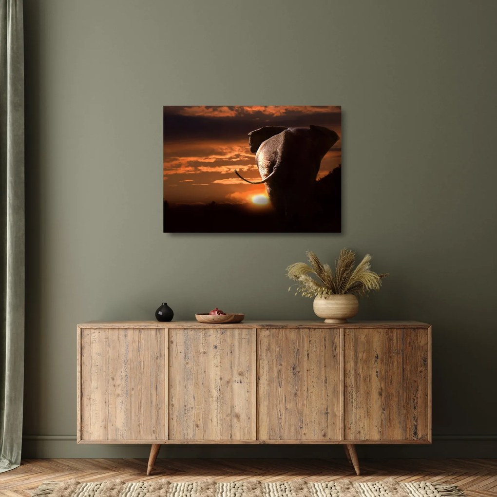 Tablou pe sticlă cu elefant (70x50 cm)
