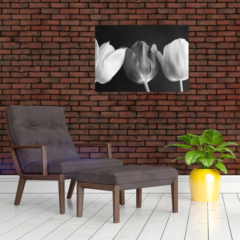 Tablou - Lalele alb negre (70x50 cm)