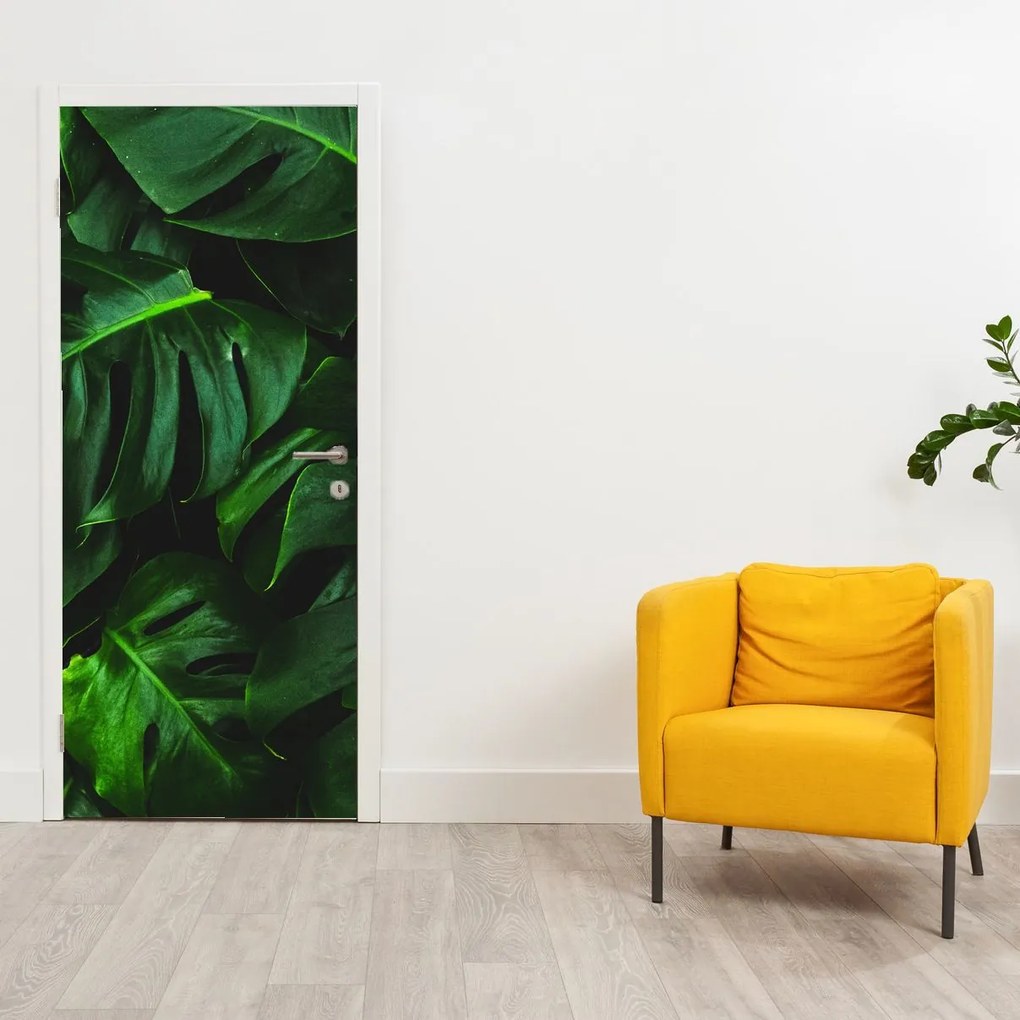 Fototapet pentru ușă - Frunze de Monstery (95x205cm)