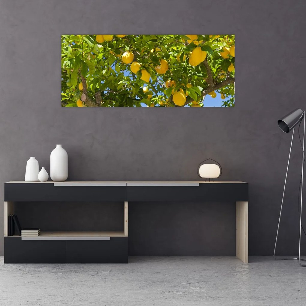 Tablou - Lămâiță (120x50 cm)