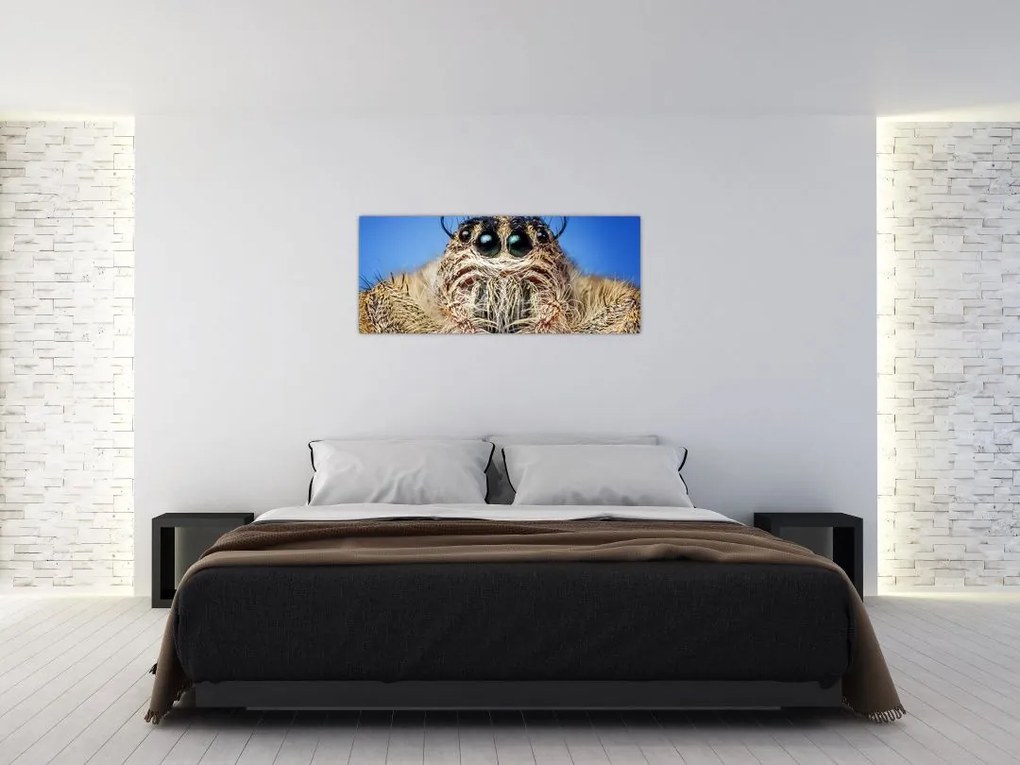 Tablou cu detalii a unui pâianjen (120x50 cm)