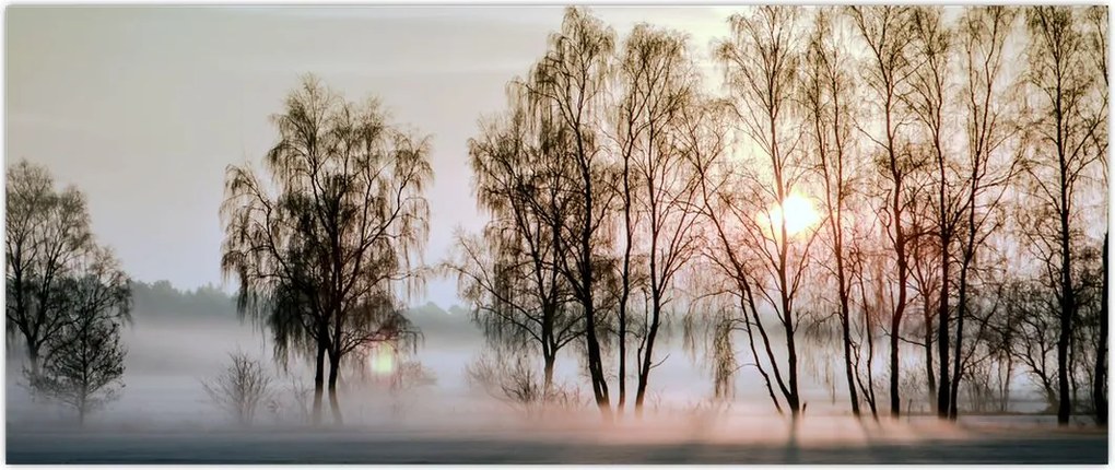 Tablou - Dimineața mohorâtă (120x50 cm)