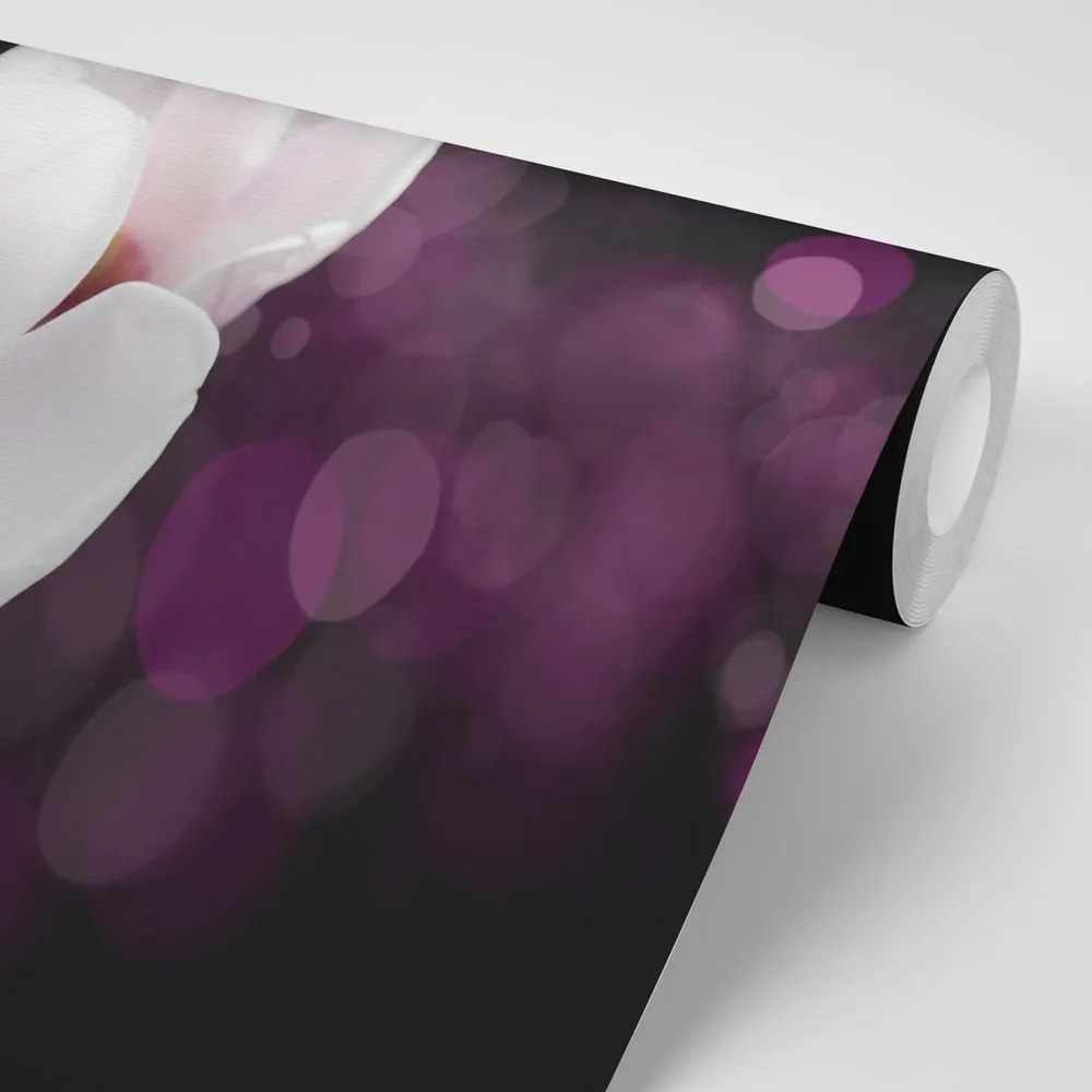 Tapet floare de magnolie pe fundalul abstract