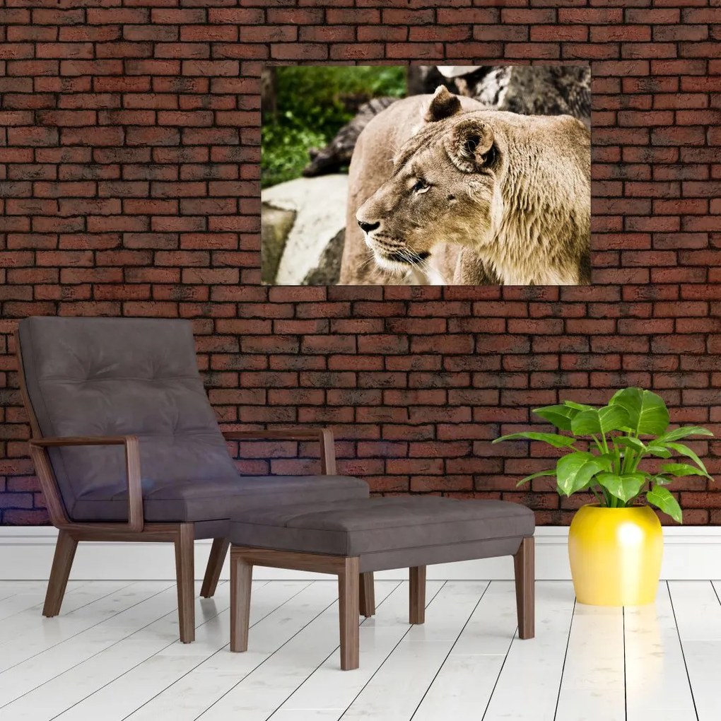 Tablou cu leoaică (90x60 cm)