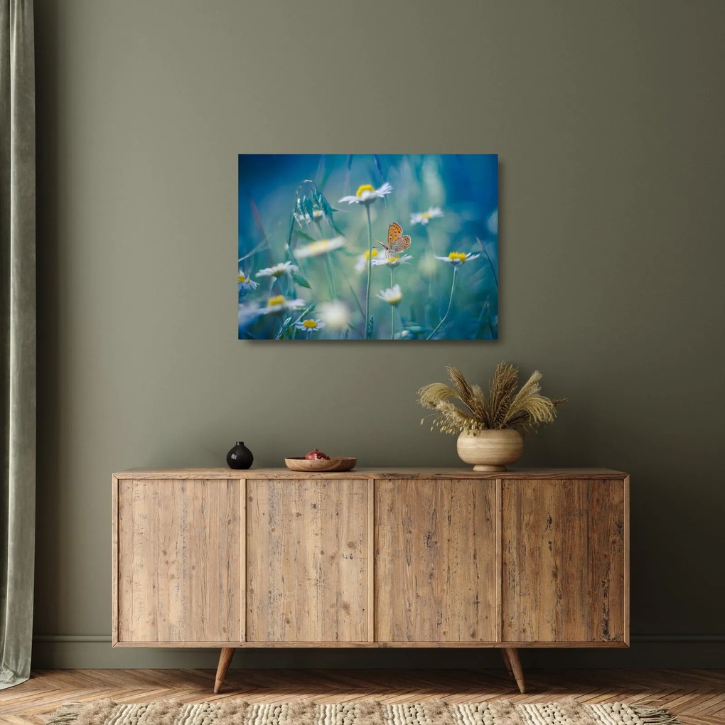Tablou pe sticlă - Fluture pe margaretă (70x50 cm)