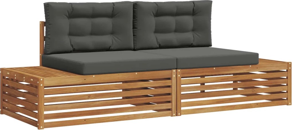 vidaXL Set de canapele de exterior 2 Bucată Natural și Antracit