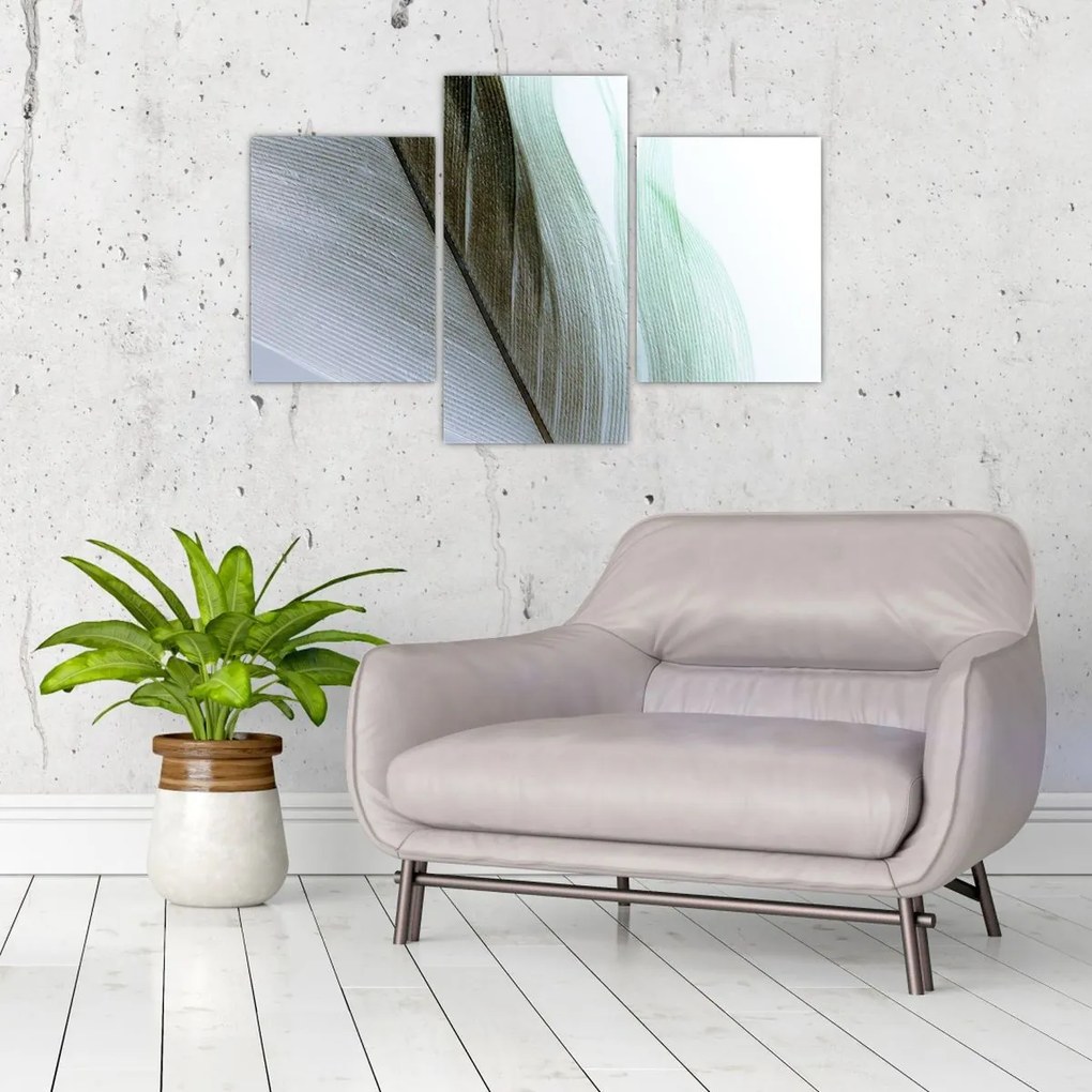 Tablou - Pene, macro (90x60 cm)