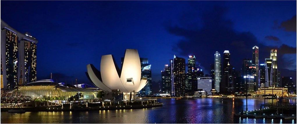 Tablou Singapore nocturn (120x50 cm)