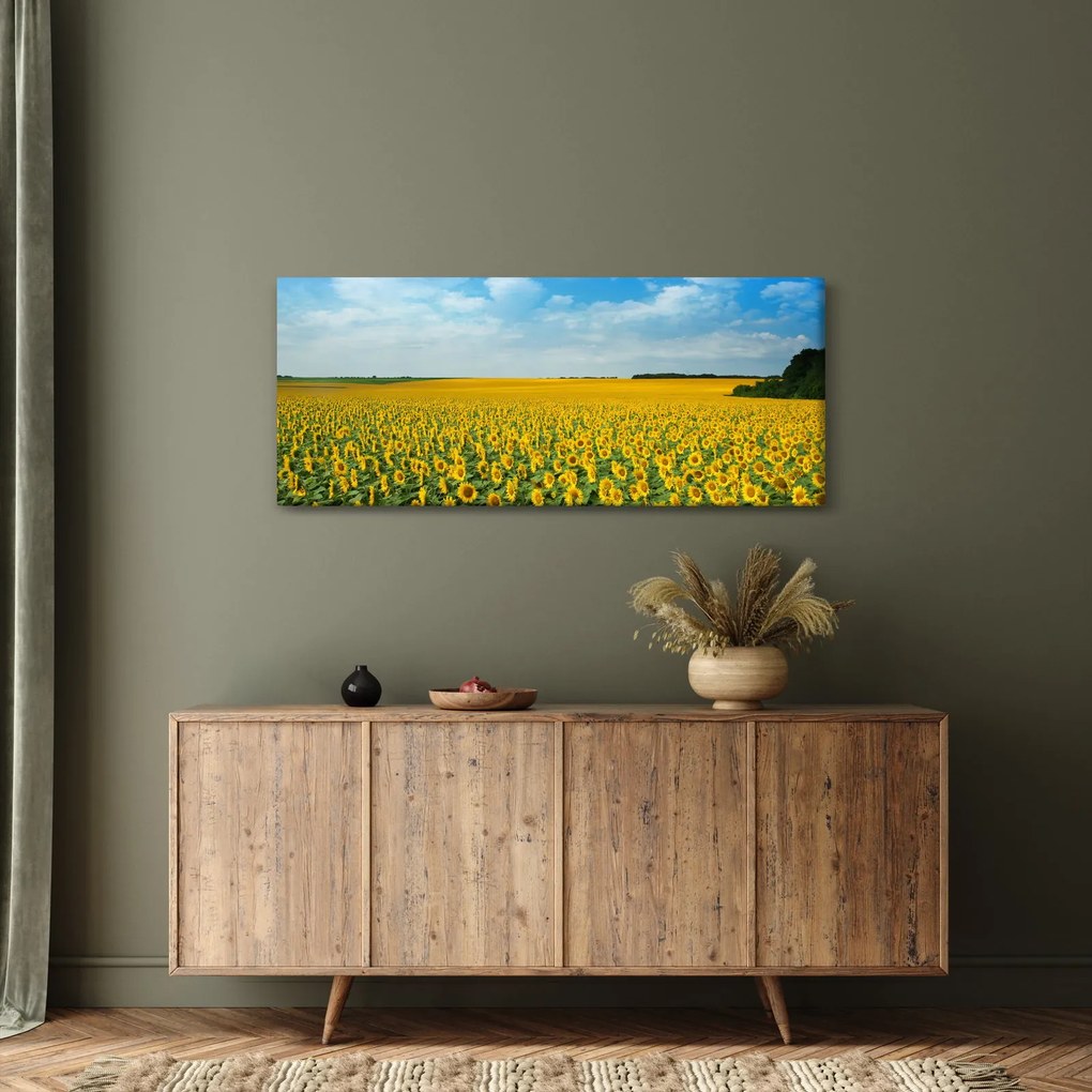 Tablou - câmp cu floarea soarelui (120x50 cm)