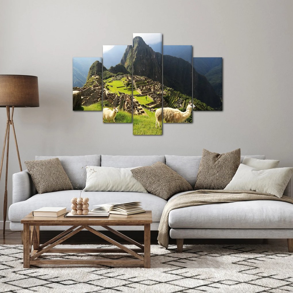 Tablou - Lame in Machu Picchu (150x105 cm)