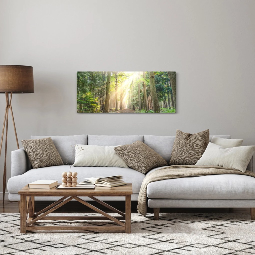 Tablou - Poteci în pădure (120x50 cm)