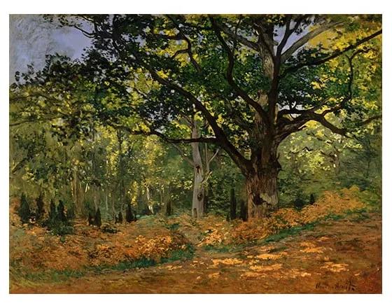 Reproducere pe pânză după Claude Monet - The Bodmer Oak, Fontainebleau Forest, 70 x 50 cm