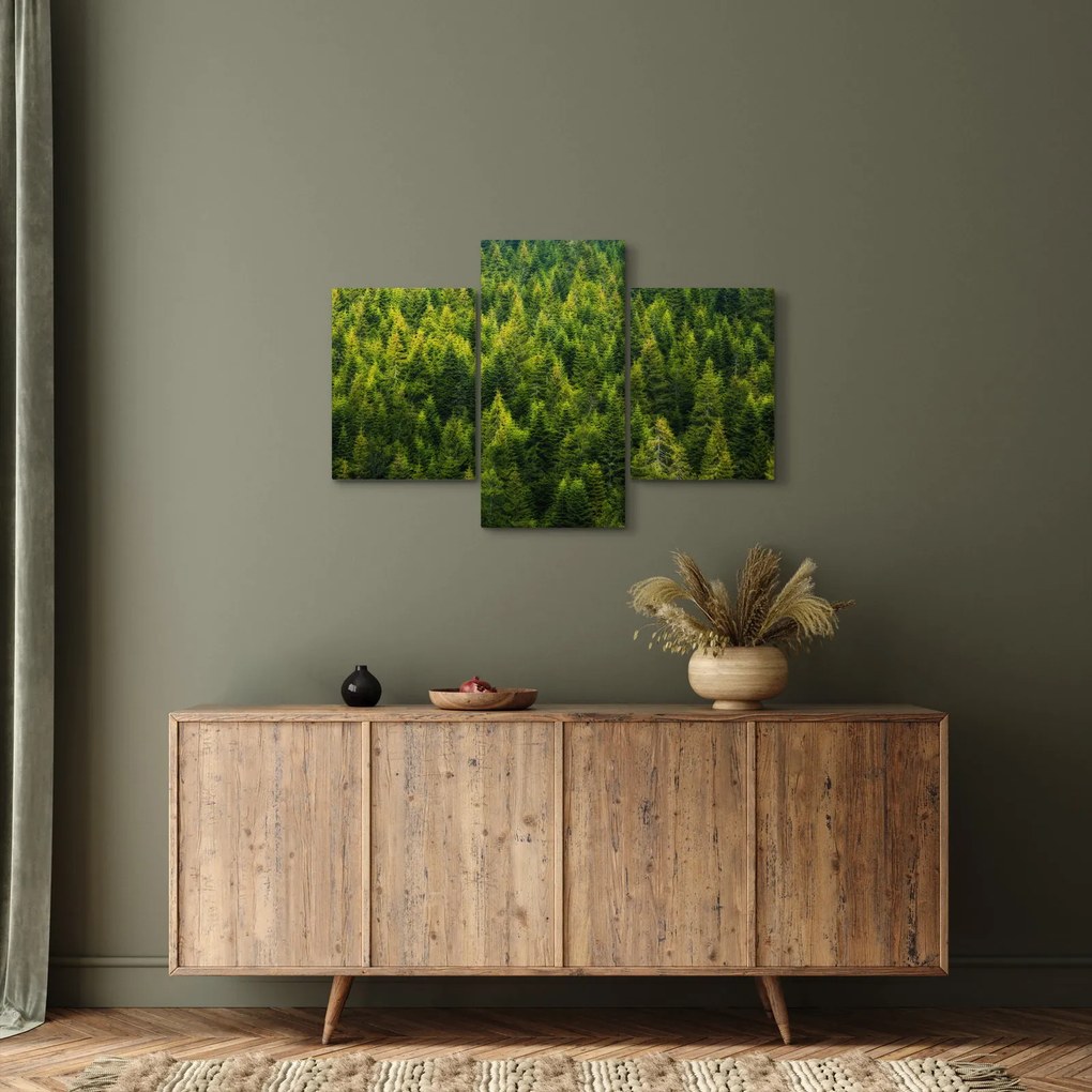 Tablou - Pădure deasă (90x60 cm)