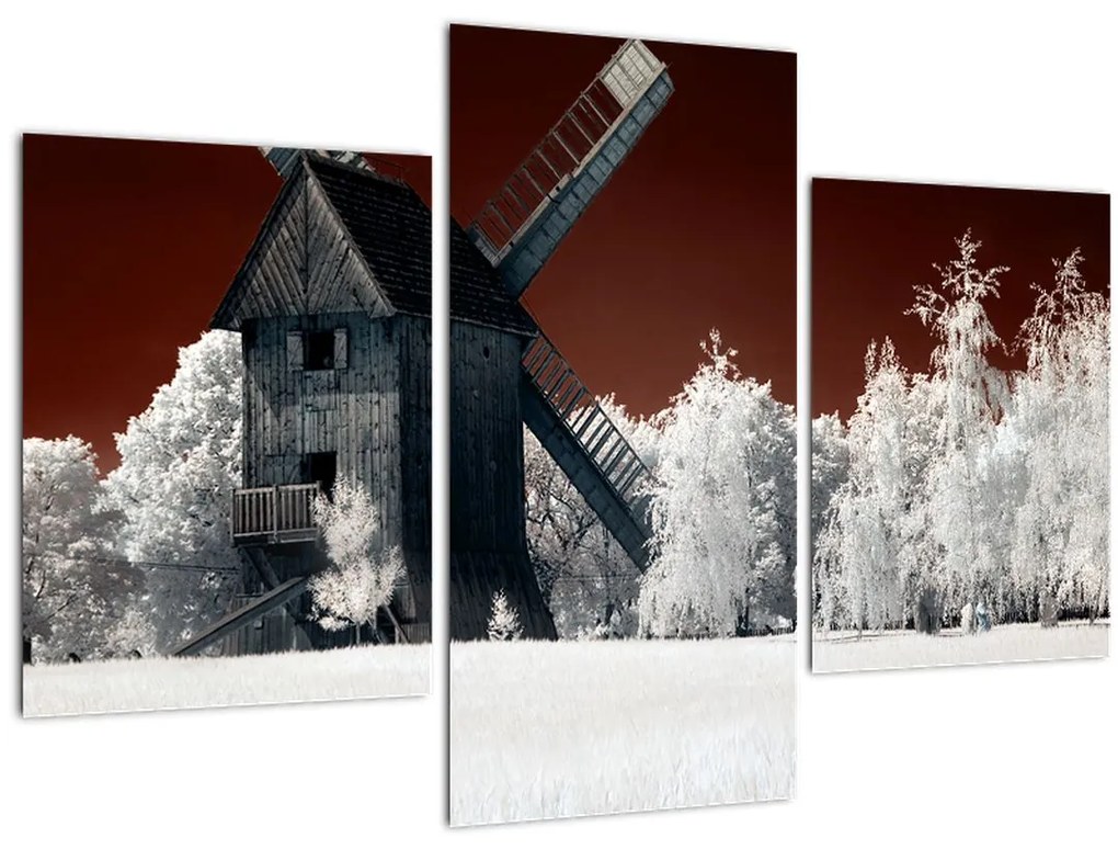 Tablou cu moară (90x60 cm)