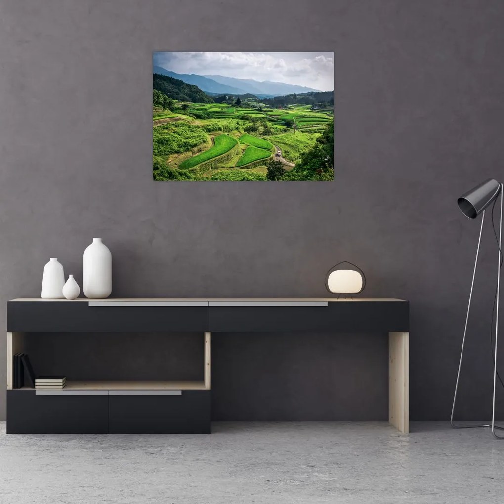 Tablou pe sticlă cu câmp de orez (70x50 cm)