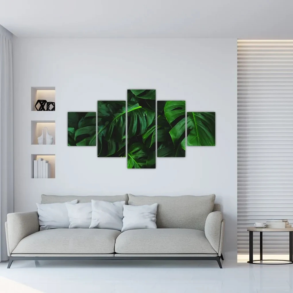 Tablou cu frunze Monstery (125x70 cm), în 40 de alte dimensiuni noi