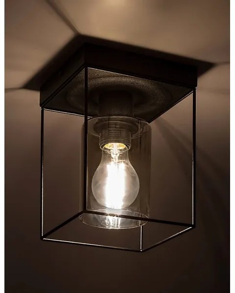 Rabalux 71031 - Plafonieră CHADWICK, 1xE27/25W/230V