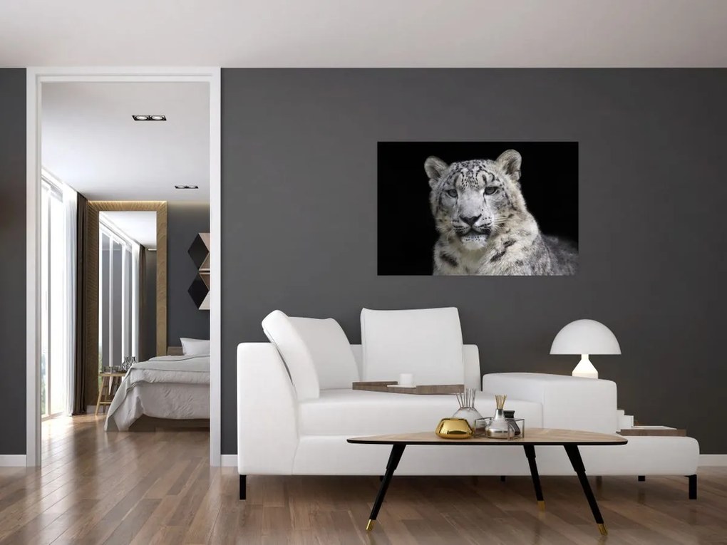 Tablou - Snow Leopard (90x60 cm)