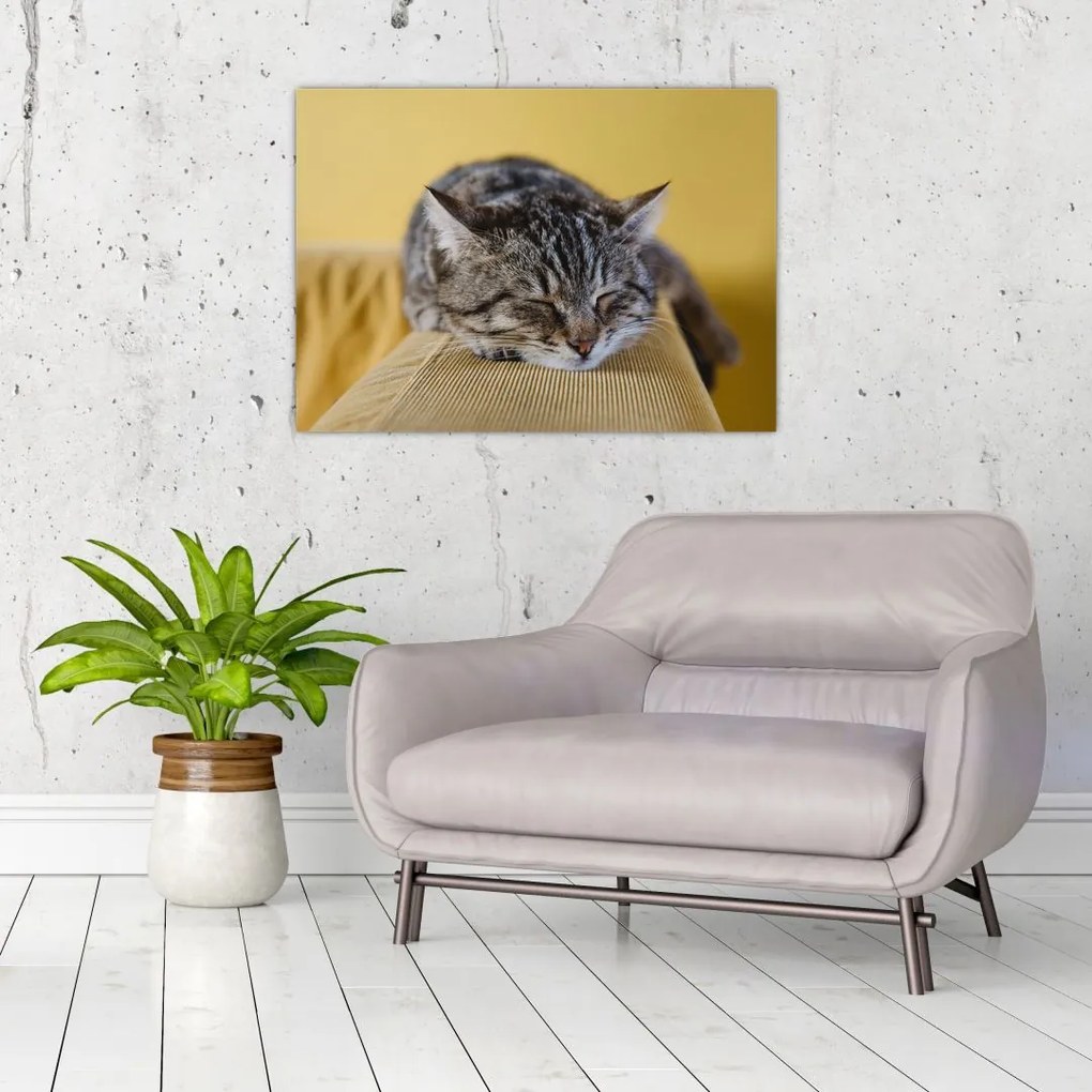 Tablou cu pisica pe fotoliu (70x50 cm)