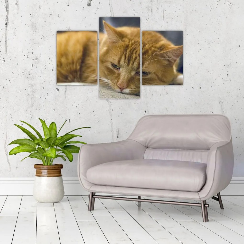 Tabloul pisicii (90x60 cm)