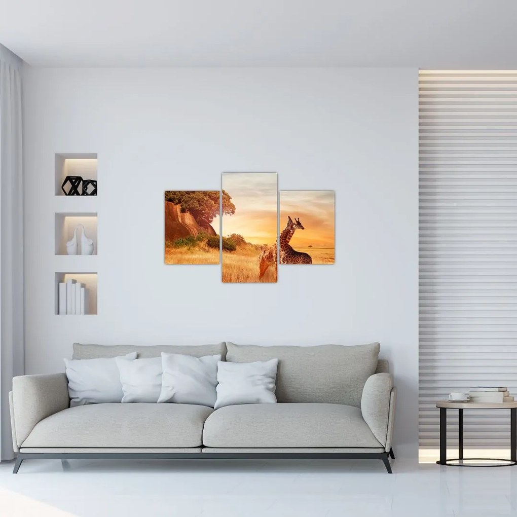 Tablou Girafe în Africa (90x60 cm)