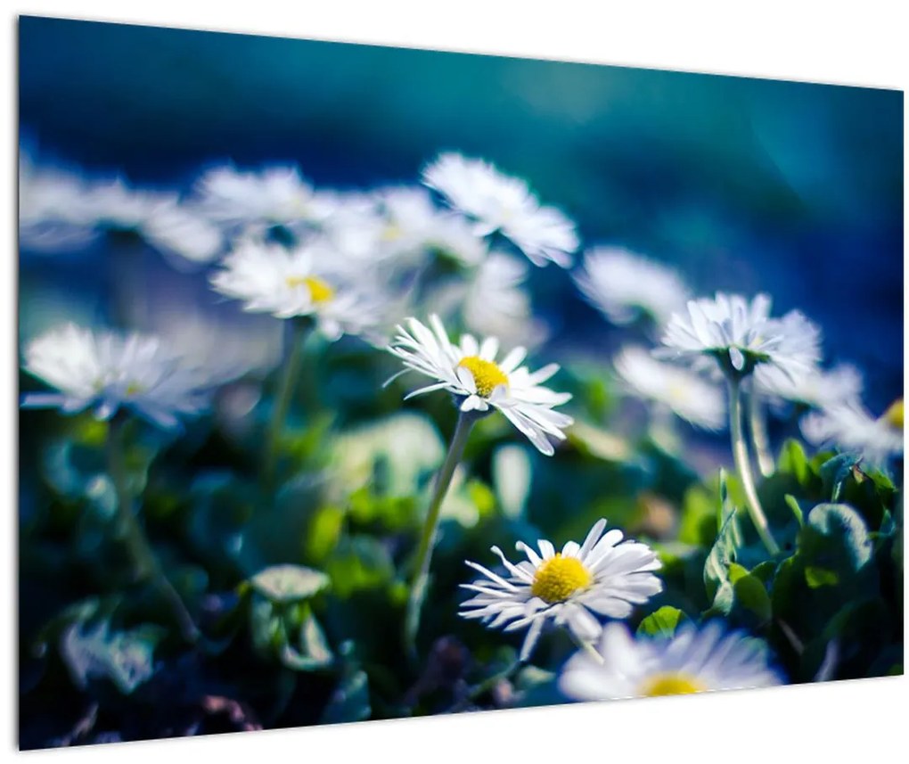 Tablou - Margarete (90x60 cm)