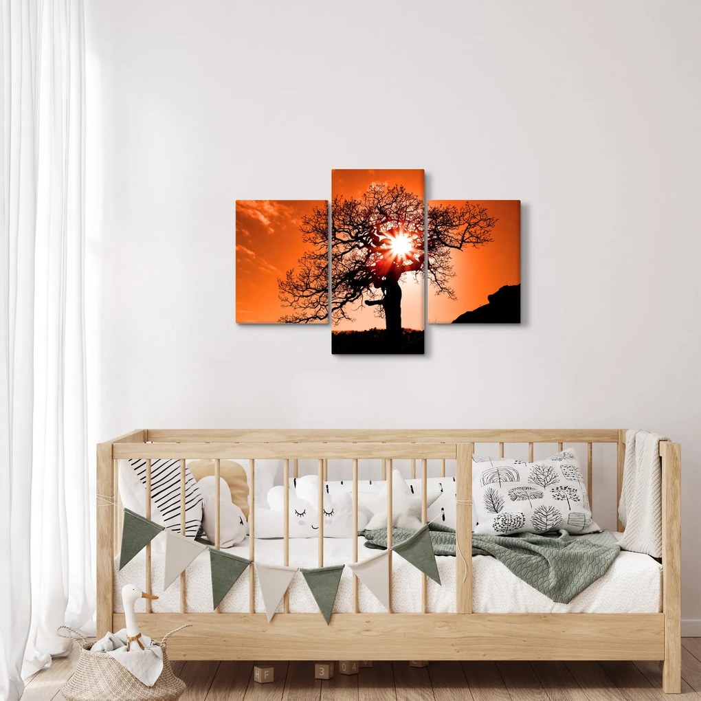 Tablou - Fag la apus de soare (90x60 cm)