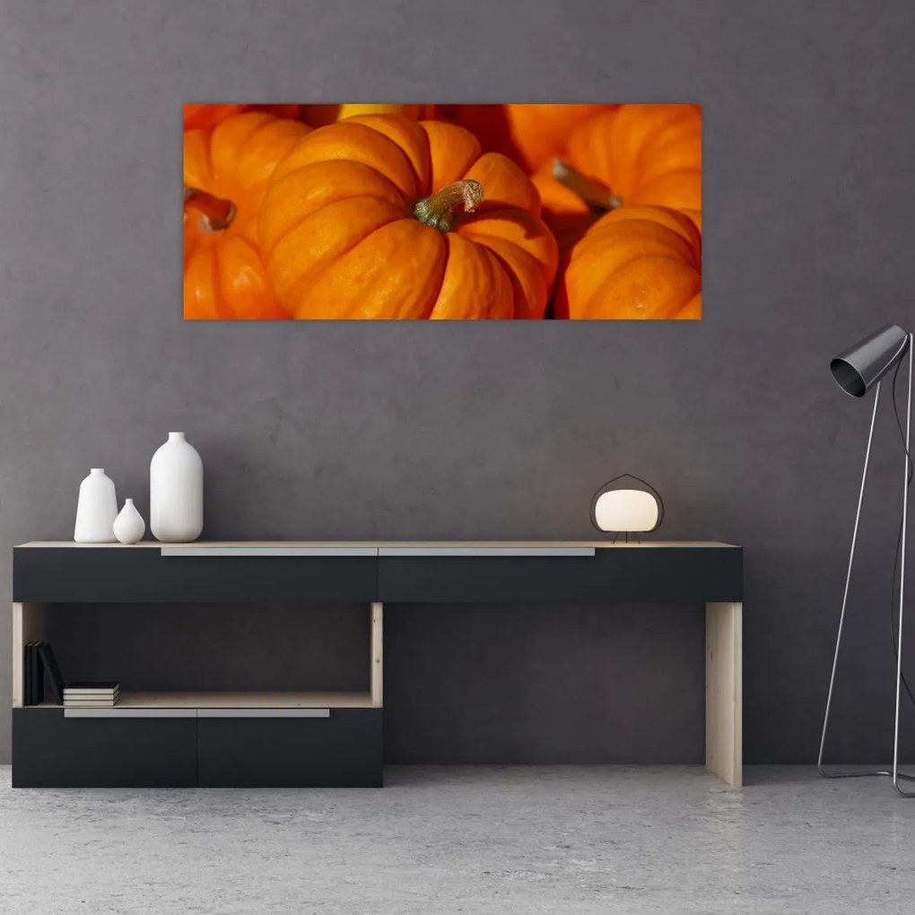 Tablou - Dovleci mari (120x50 cm)