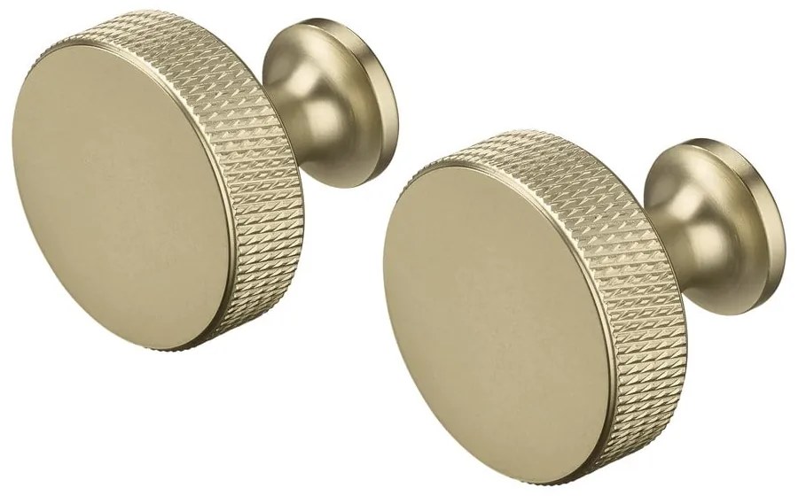 Cârlige alămii 2 buc. de montat pe perete din metal Rof – Blomus