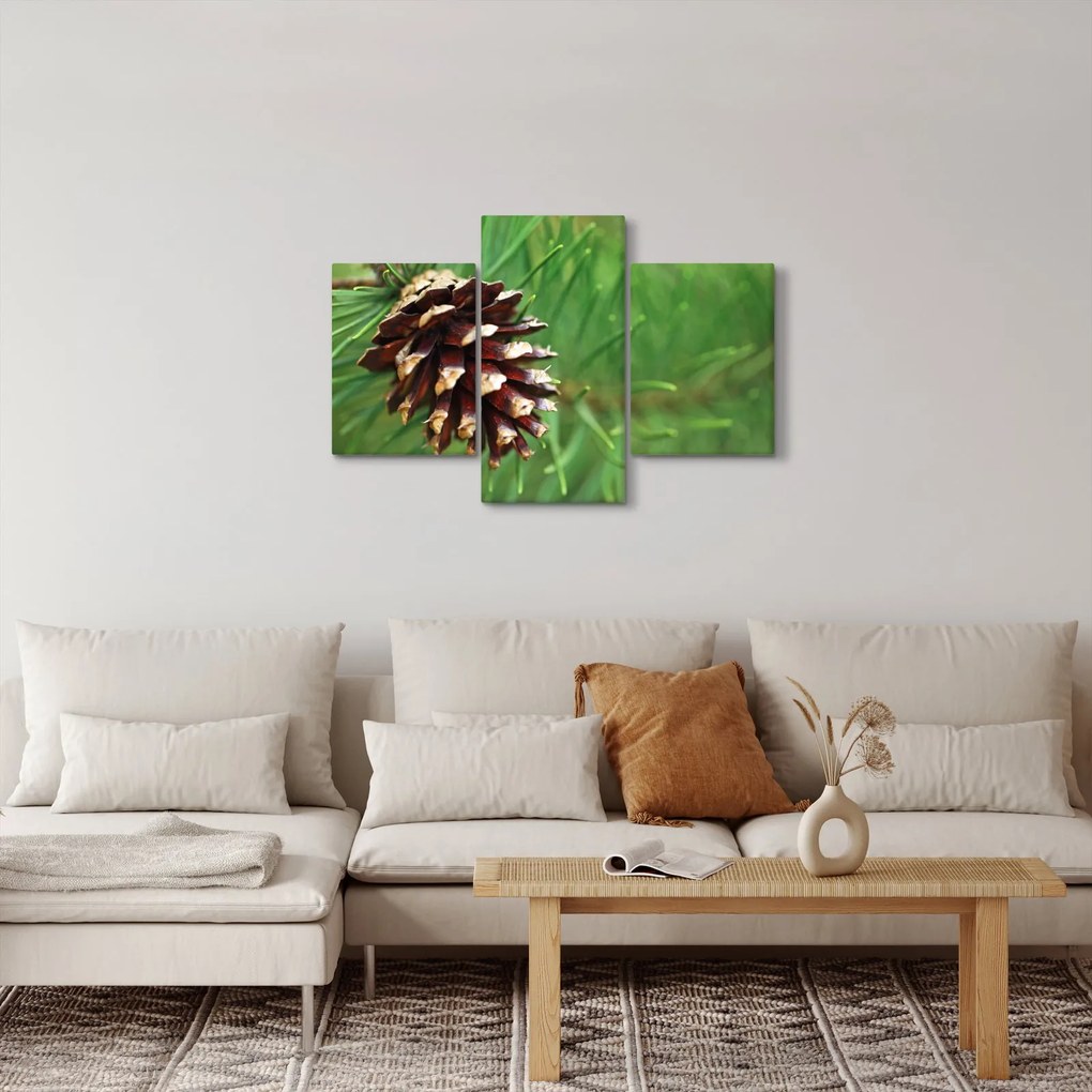 Tablou cu con (90x60 cm)