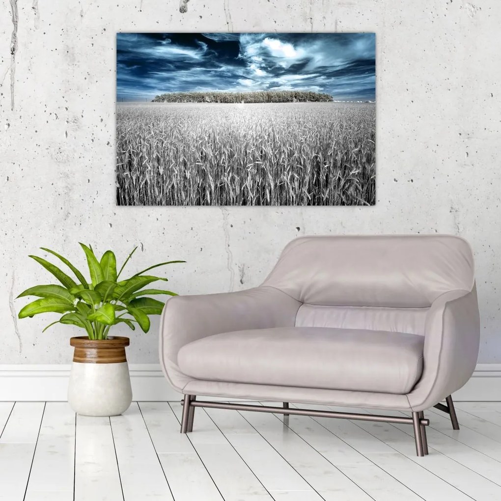 Tablou cu câmp (90x60 cm)