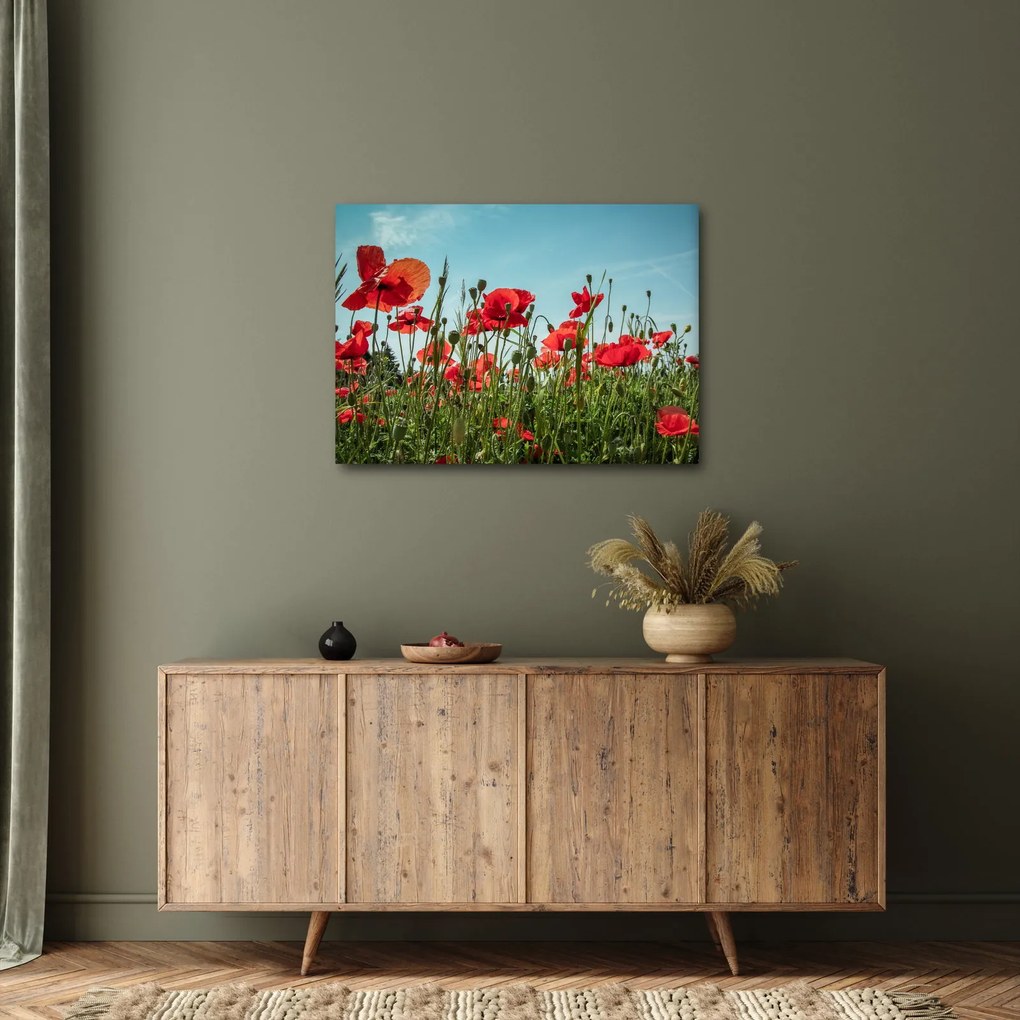 Tablou - Pe câmpul cu maci (70x50 cm)