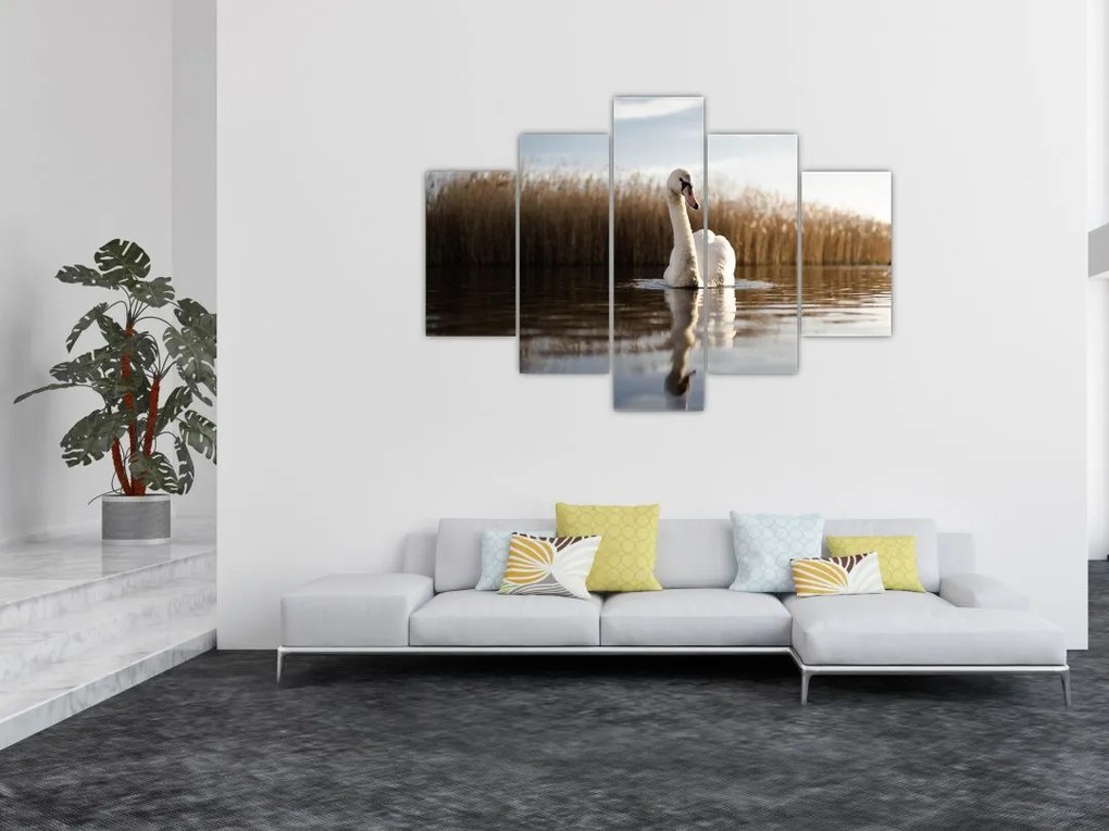 Tablou cu lebăda (150x105 cm)