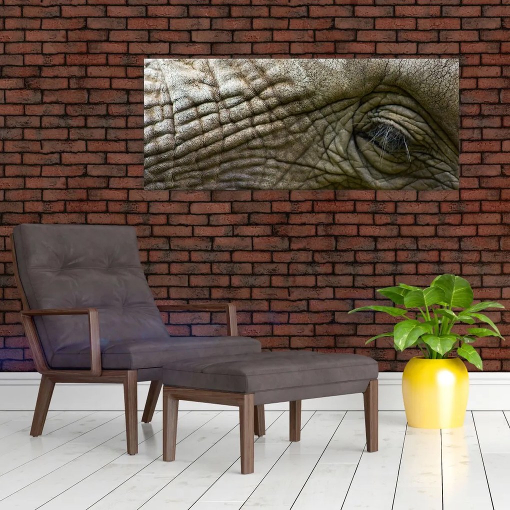 Tablou - Prim-planul ochiului de elefant vechi (120x50 cm)