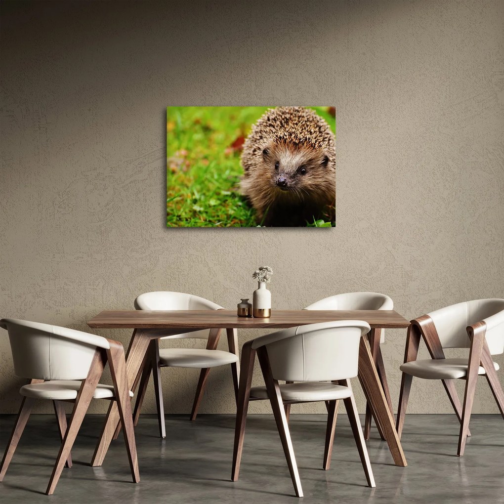 Tablou cu arici (70x50 cm)
