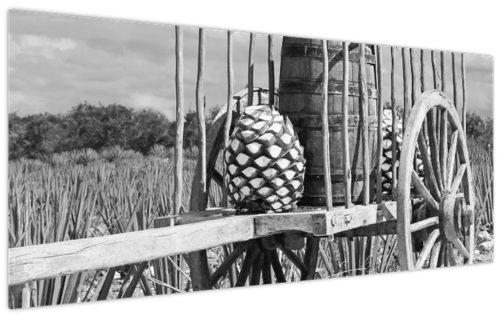 Tablou - Remorcă,alb-negru (120x50 cm)