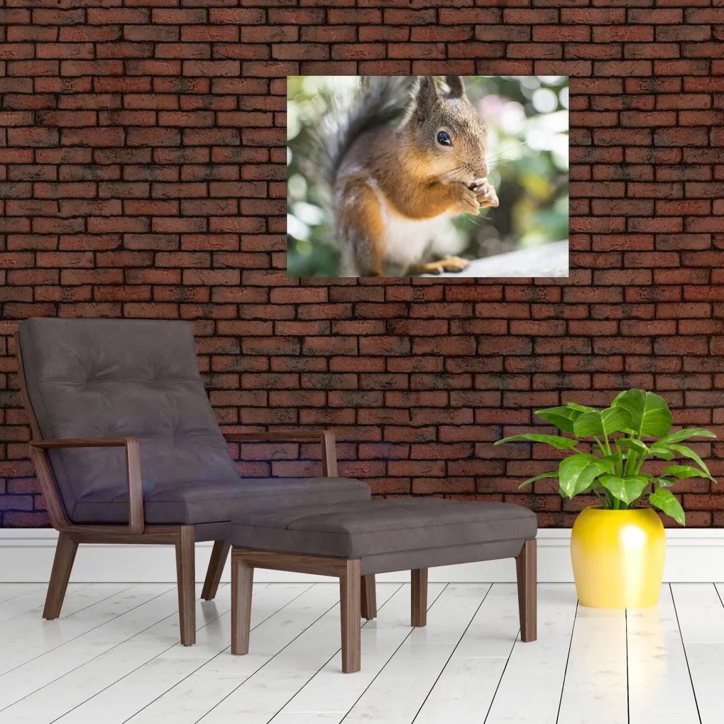Tablou pe sticlă cu veverița (70x50 cm)
