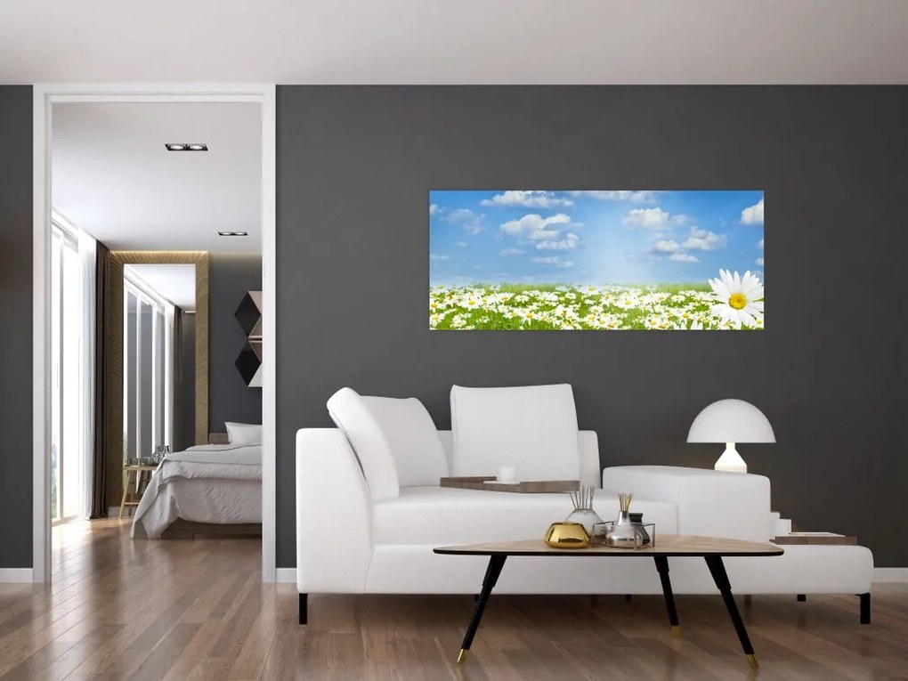 Tablou cu luncă înflorită cu margarete (120x50 cm)