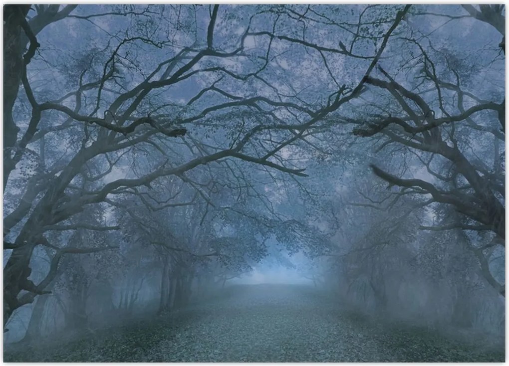 Tablou - Pădurea în ceață (70x50 cm)