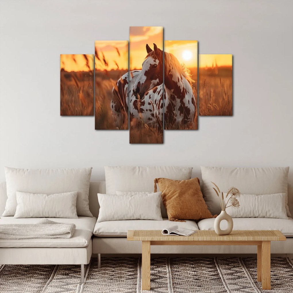Tablou - Cal la Apus (150x105 cm)
