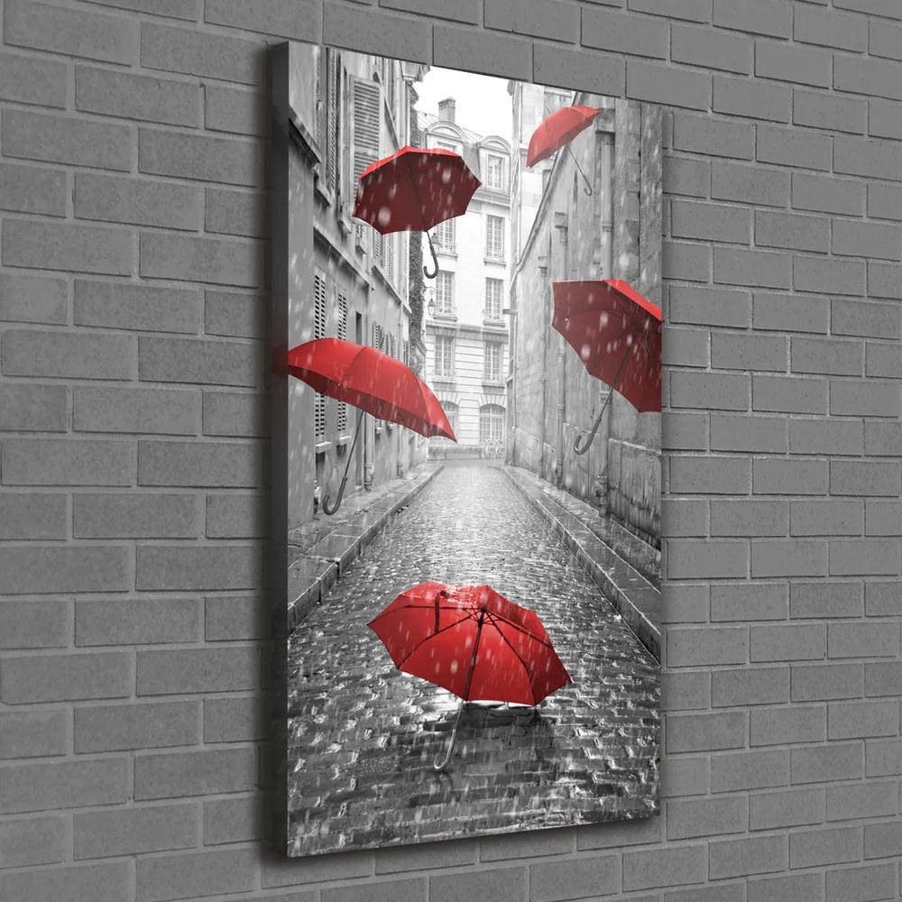 Print pe pânză Umbrelă Franța