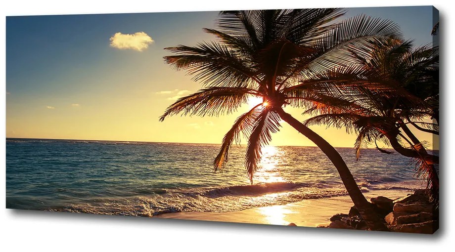 Print pe canvas Plaja tropicala